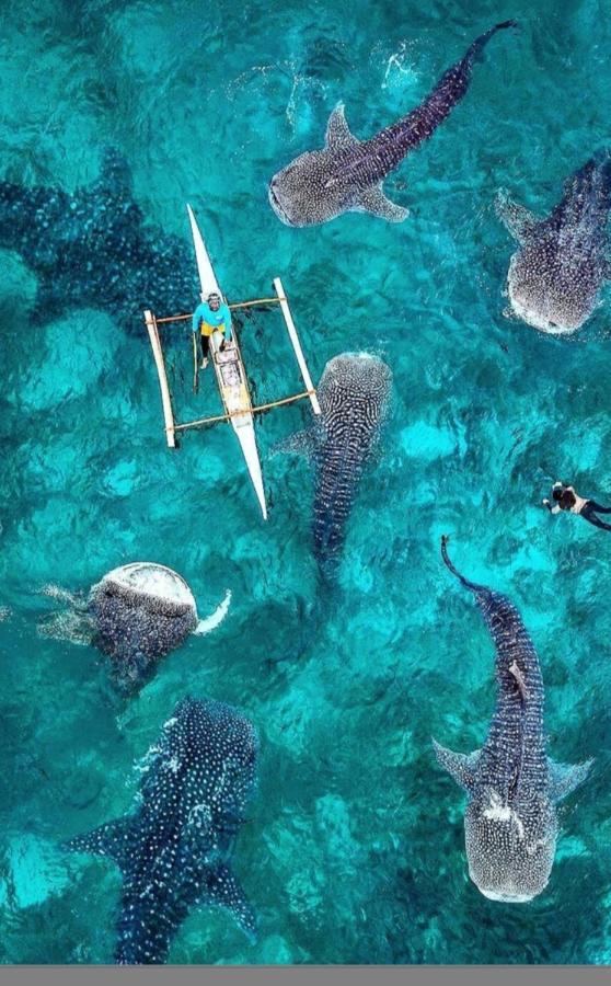 Condotel Dc Marina Spatial Felinvest Dumaguete City Экстерьер фото